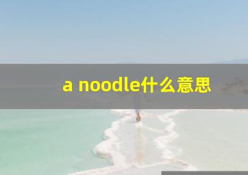 a noodle什么意思